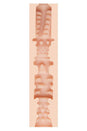 Fleshlight - Girls - Nicole Aniston Fit: Custom Pussy Masturbator - Stag Shop