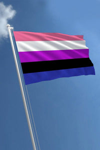 Thumbnail for Stag Shop - Pride Flag - Gender Fluid - 4 x 6 Inch - Stag Shop