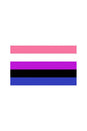 Stag Shop - Pride Flag - Gender Fluid - 4 x 6 Inch - Stag Shop
