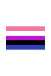Stag Shop - Pride Flag - Gender Fluid - 4 x 6 Inch - Stag Shop