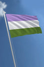 Stag Shop - Pride Flag - Gender Queer - 3' x 5' - Stag Shop