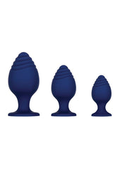 Evolved - Get Your Groove On Butt Plug Set - Blue - Stag Shop