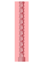 Fleshlight - GO Stamina Training Unit - Butt - Stag Shop