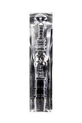 Fleshjack - GO - Torque Ice Combo - Anal Male Masturbator - Stag Shop