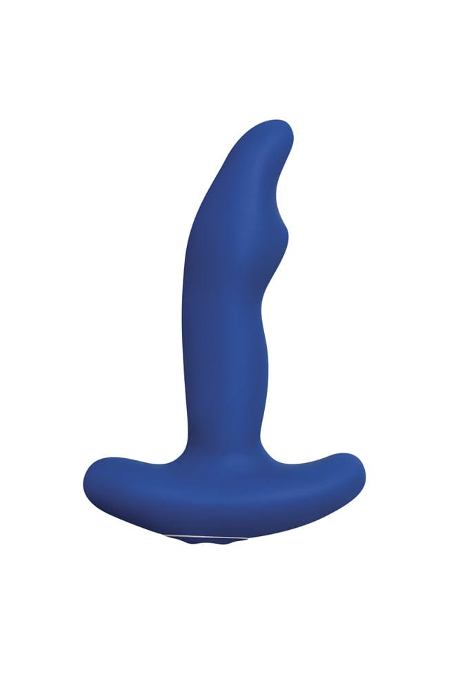 Zero Tolerance - The Great Prostate Vibrator - Blue - Stag Shop