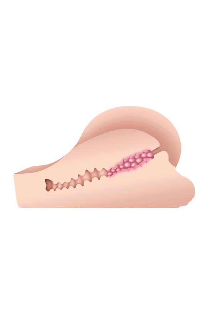 Evolved - Gender X - A Handful - Male Ass Masturbator - Light - Stag Shop