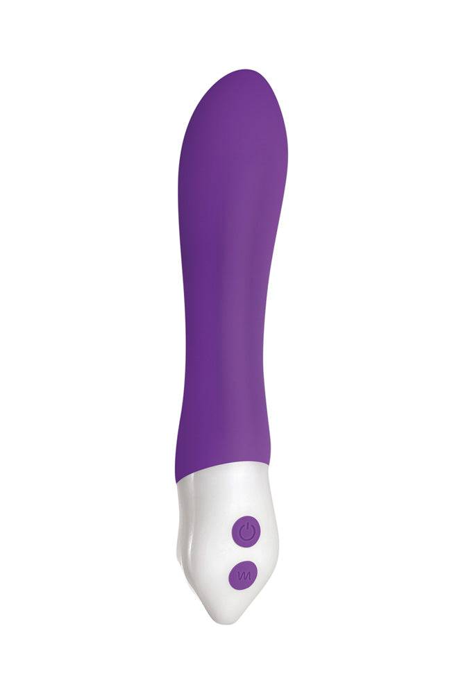 Evolved - Heroine Classic Vibrator - Purple - Stag Shop