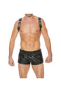 Ouch by Shots Toys - Holster Harness - Black - Stag Shop