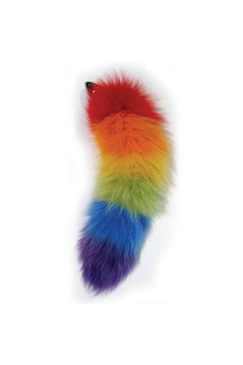 Hott Products - Rainbow Foxy Tail Butt Plug - Stainless Steel - Stag Shop