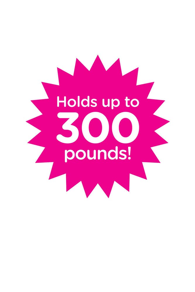 Pipedream - Dillio - Vibrating Inflatable Hot Seat Set - Pink - Stag Shop