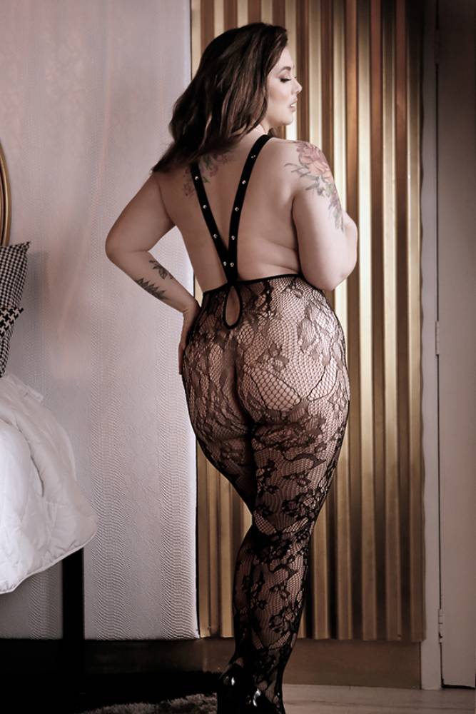 Fantasy Lingerie - Sheer Fantasy - In Suspense Lace Stockings - Black - Queen Size - Stag Shop