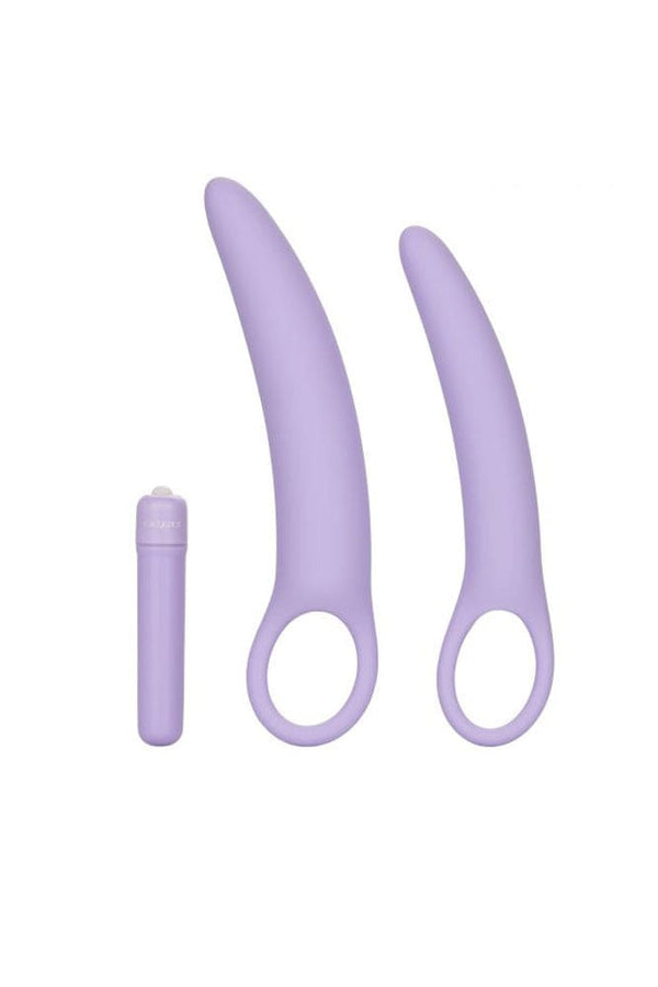 Cal Exotics - Dr. Laura Berman - Isabelle Dilator Set - Purple - Stag Shop