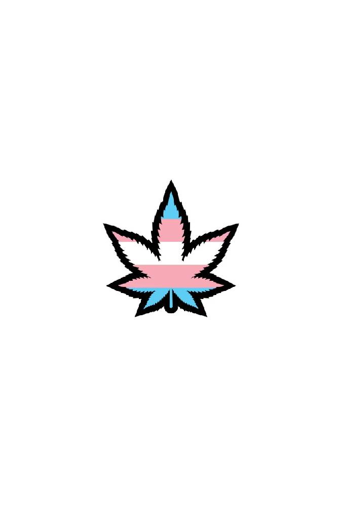 Wood Rocket - Weed Leaf Trans Flag Enamel Pin - Stag Shop