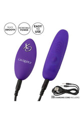 Cal Exotics - Lock-N-Play Remote Pulsating Panty Teaser - Purple - Stag Shop
