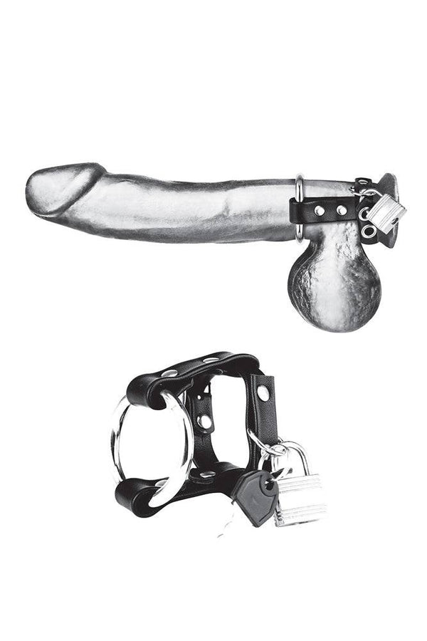 Electric Eel - Blue Line - Metal Cock Ring With Locking Ball Strap - Black - Stag Shop