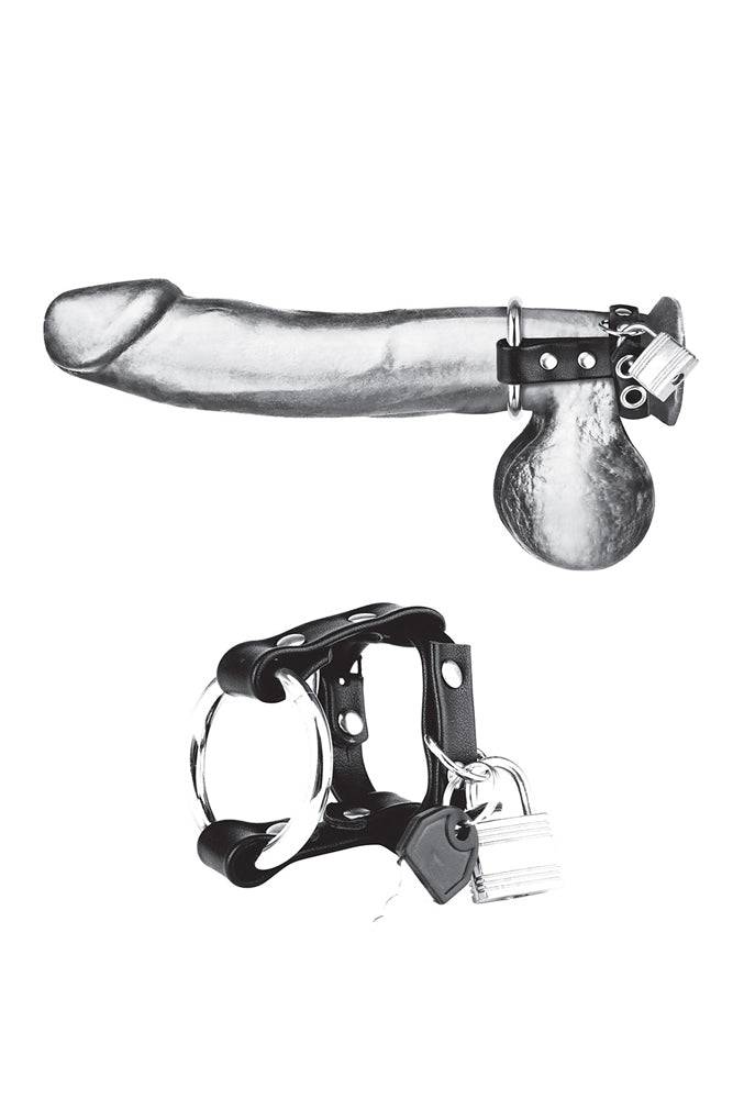 Electric Eel - Blue Line - Metal Cock Ring With Locking Ball Strap - Black - Stag Shop