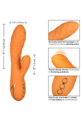 Cal Exotics - California Dreaming - Newport Beach Babe Dual Vibrator - Orange - Stag Shop
