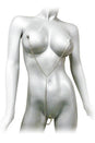 XR Brands - Master Series - Anais - Nipple to Clit Tweezer Clamp Set - Stag Shop