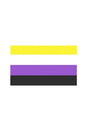 Stag Shop - Pride Flag - Non Binary - 3' x 5' - Stag Shop
