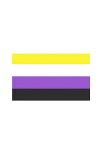 Thumbnail for Stag Shop - Pride Flag - Non Binary - 3' x 5' - Stag Shop