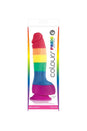NS Novelties - Colours - Pride Edition - 6 Inch Dildo - Rainbow - Stag Shop