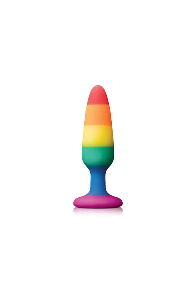 NS Novelties - Colours - Pride Edition - Pleasure Butt Plug - Assorted Sizes - Stag Shop