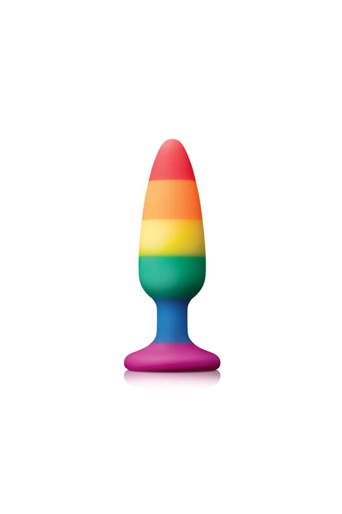 NS Novelties - Colours - Pride Edition - Pleasure Butt Plug - Assorted Sizes - Stag Shop
