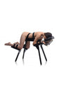 XR Brands - Master Series - Obedience - Extreme Sex Bench with Straps - Pre Order - Stag Shop
