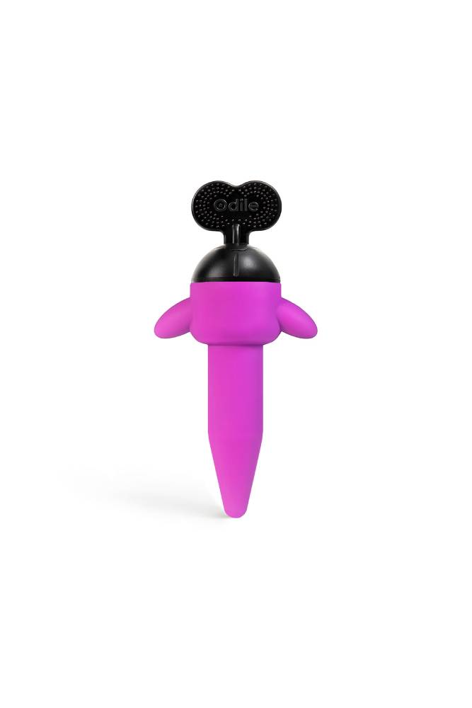 Odile - Discovery Twist Butt Plug Dilator - Purple - Stag Shop