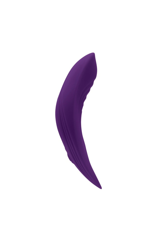 Playboy Our Little Secret Panty Vibrator Purple