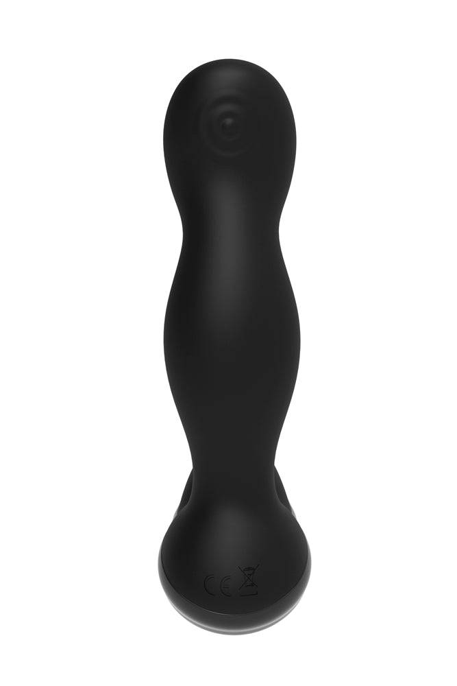 Zero Tolerance - The One-Two Punch Prostate Massager & Remote - Black - Stag Shop
