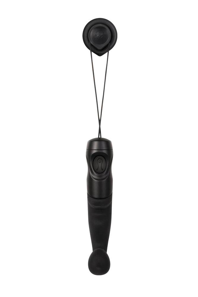 Zero Tolerance - P-spot Shower Massager - Black - Stag Shop