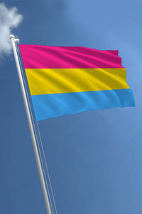 Thumbnail for Stag Shop - Pride Flag - Pan Sexual - 3' x 5' - Stag Shop
