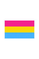 Stag Shop - Pride Flag - Pan Sexual - 3' x 5' - Stag Shop