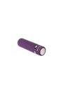Evolved - Petite Purple Passion Rechargeable Bullet - Purple - Stag Shop