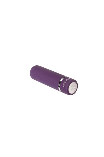 Evolved - Petite Purple Passion Rechargeable Bullet - Purple - Stag Shop