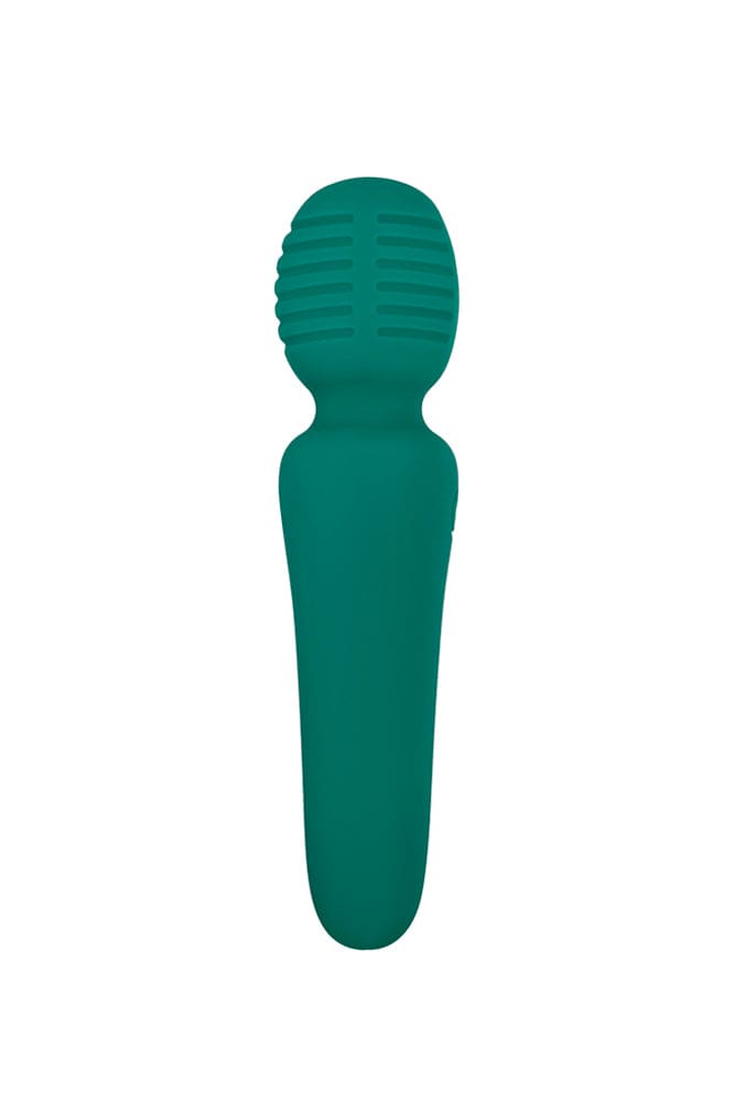 Adam & Eve - Eve's Petite Private Pleasure Wand - Teal - Stag Shop