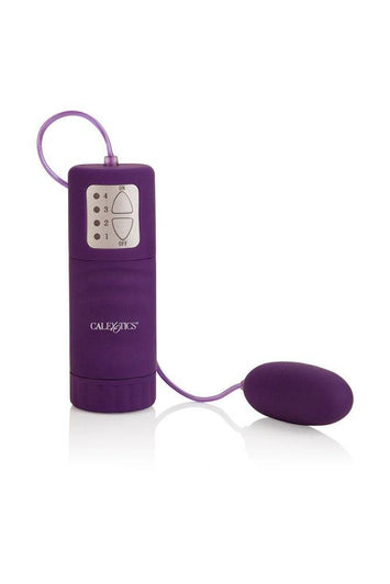 Cal Exotics - Pocket Exotics - Waterproof Bullet Vibrator - Purple - Stag Shop