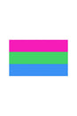 Stag Shop - Pride Flag - Polysexual - 3' x 5' - Stag Shop