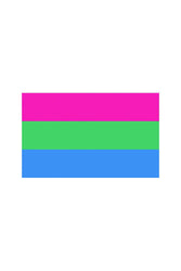 Stag Shop - Pride Flag - Polysexual - 3' x 5' - Stag Shop
