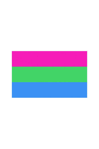 Stag Shop - Pride Flag - Polysexual - 3' x 5' - Stag Shop