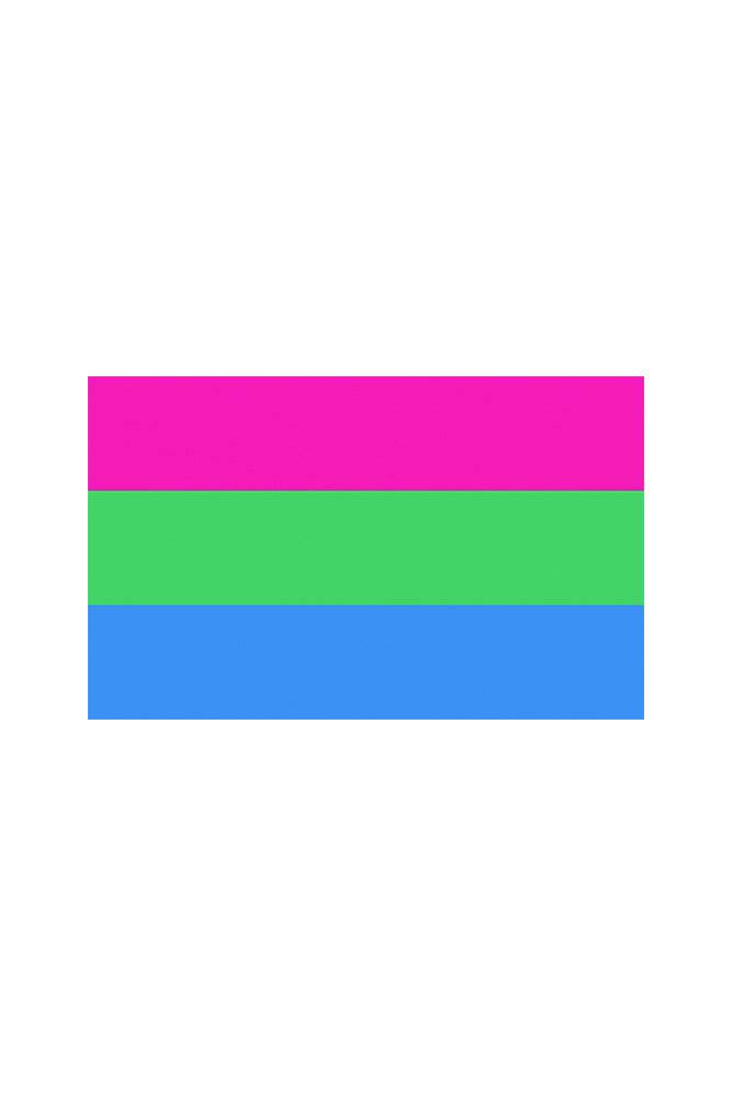 Stag Shop - Pride Flag - Polysexual - 3' x 5' - Stag Shop