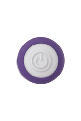 Evolved - Petite Purple Passion Rechargeable Bullet - Purple - Stag Shop