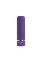 Evolved - Petite Purple Passion Rechargeable Bullet - Purple - Stag Shop
