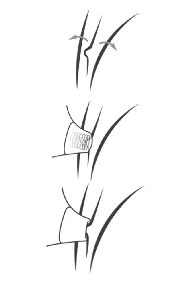 Womanizer - Premium Clitoral Stimulator - Blueberry - Stag Shop