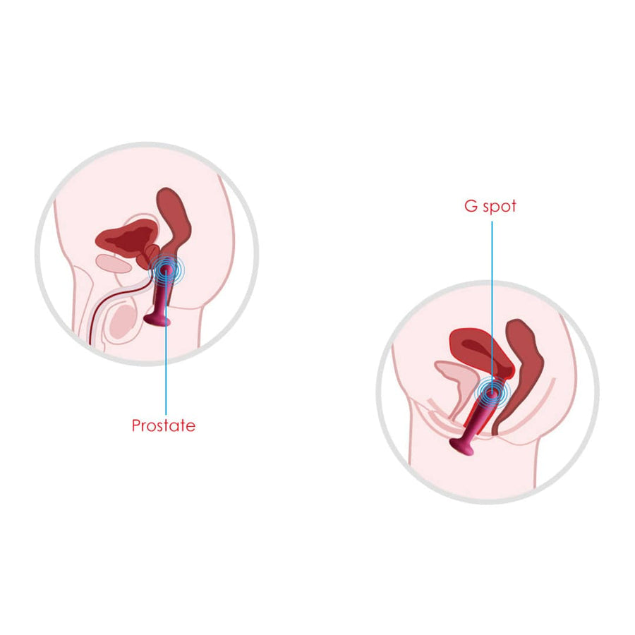 Svakom - Primo Warming Remote Controlled Prostate or G-Spot Probe - Red Wine - Stag Shop