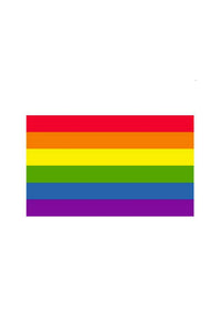 Thumbnail for Stag Shop - Pride Flag - Rainbow - 3' x 5' - Stag Shop