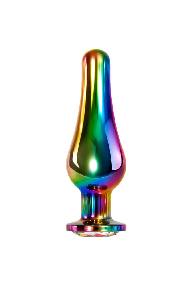 Evolved - Rainbow Metal Butt Plug - Large - Stag Shop