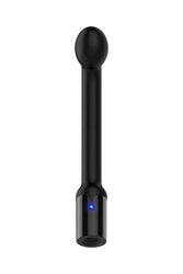 Adam & Eve - Adam's Rechargeable Prostate Probe - Black - Stag Shop