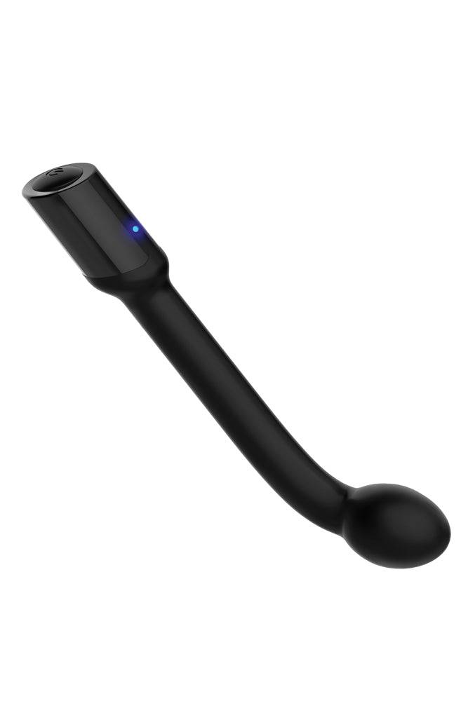 Adam & Eve - Adam's Rechargeable Prostate Probe - Black - Stag Shop